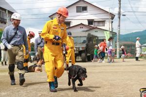災害救助犬十日町による訓練の様子
