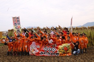 学校田で稲刈り3