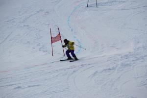 ゲレンデ上コースを滑走するアルペン選手
