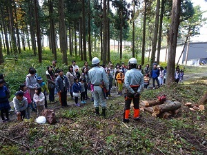 間伐見学