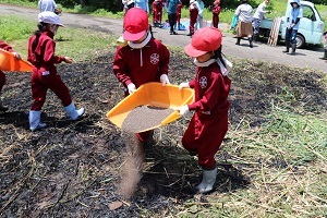 児童が二人で協力して肥料を撒く様子
