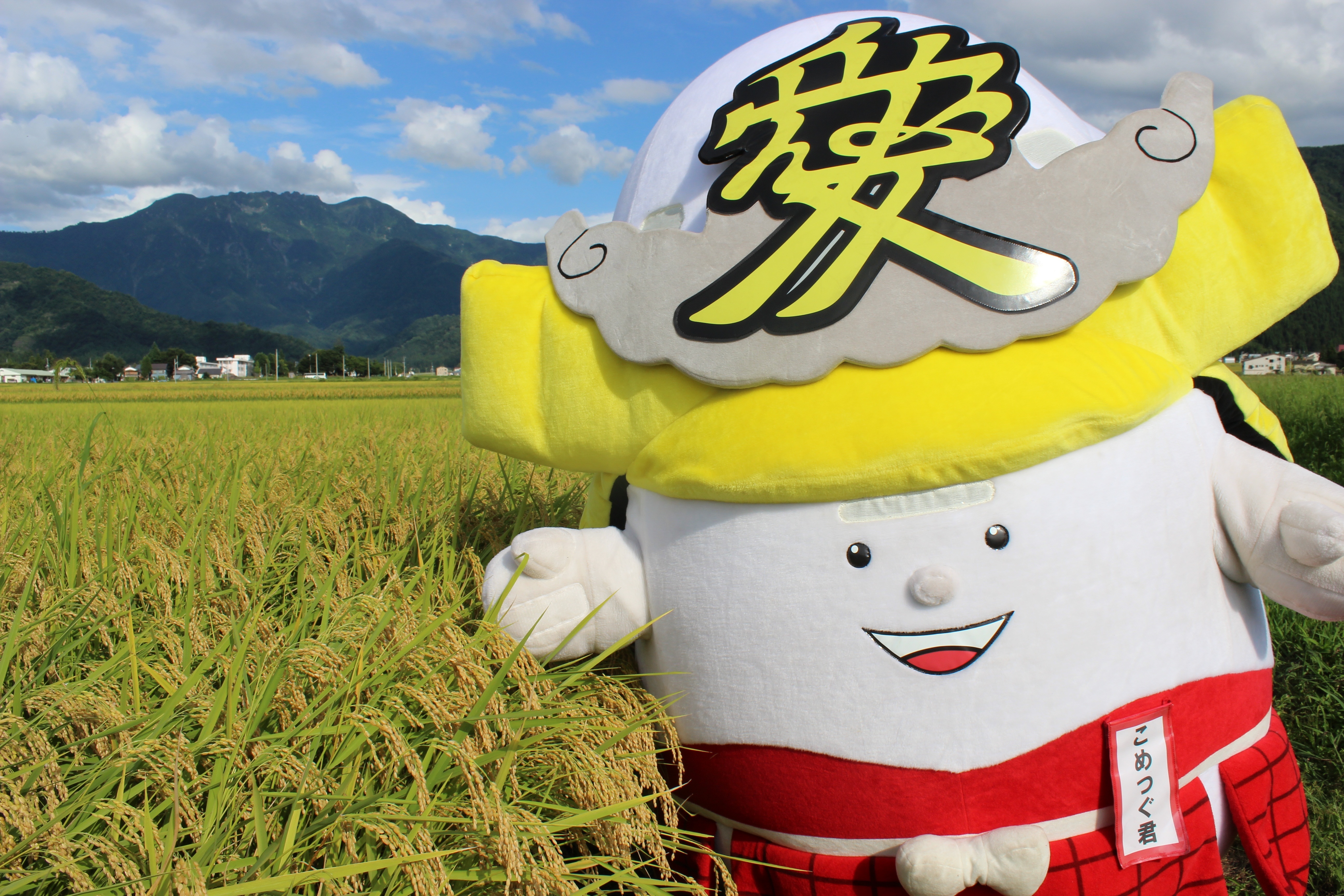 こめつぐ君（田んぼと八海山）.JPG