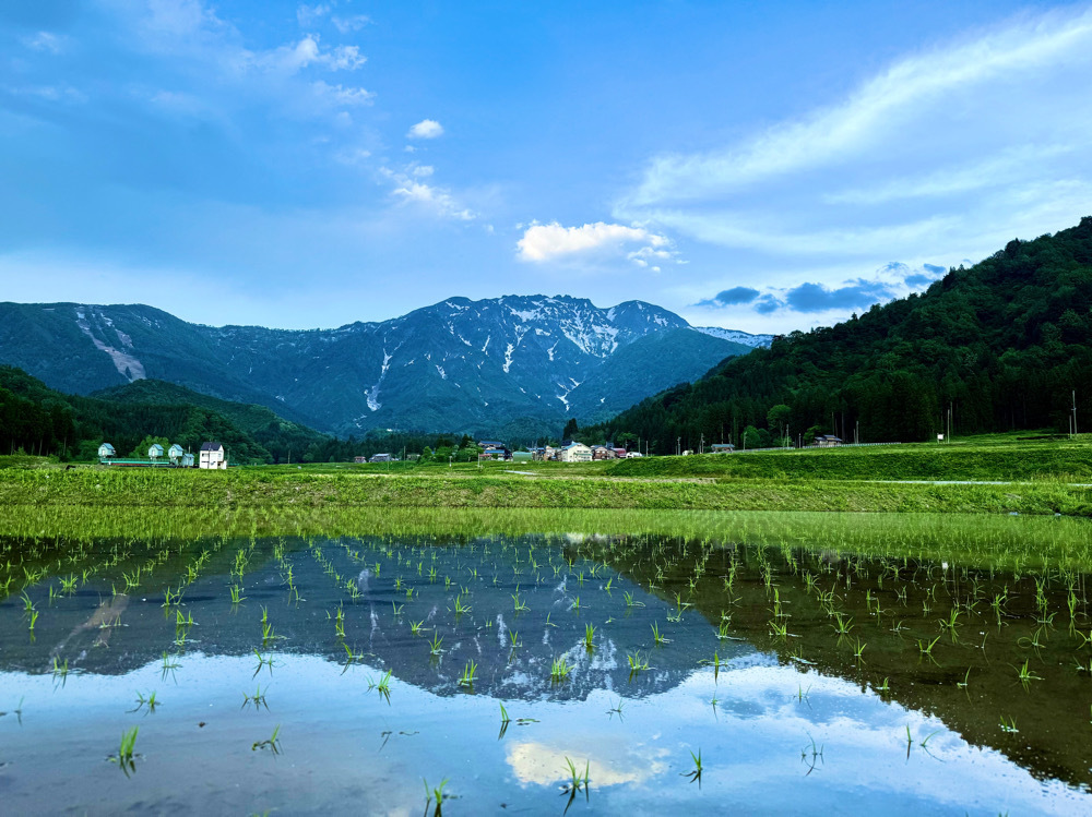 八海山と田んぼ