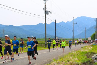 田んぼの中を走るランナーたち