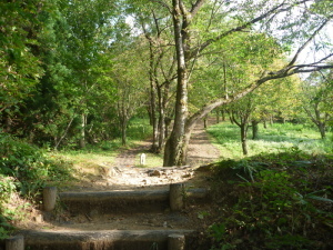 城坂登山道