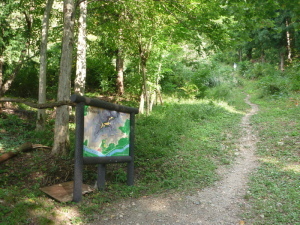 坂戸城跡の薬師尾根の登山道