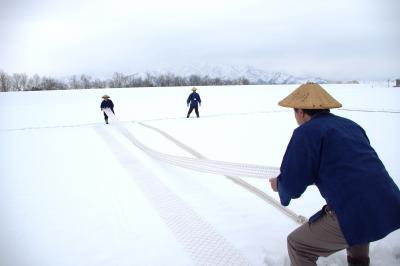 雪ざらしをする様子