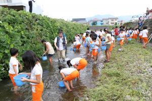 伊田川に入り放流をする生徒たち