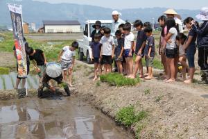 田植えのお手本を見ている児童たち