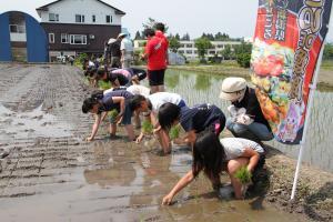 植えつけを行う児童たち