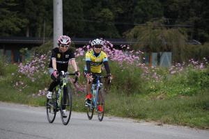 市内を自転車で走る参加者たち