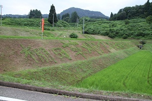 草刈りアート ロゴ