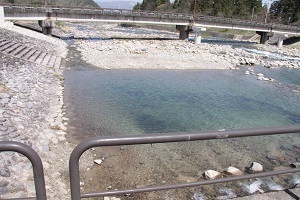 登川の清流（水辺の様子）