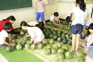 収穫したスイカを磨き、シールを貼る児童