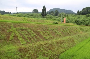 棚田草刈りアートという文字が描き出された作品