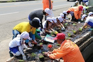 大巻小学校児童と四十日新道ひまわりの会による花植え活動の様子1