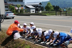 大巻小学校児童と四十日新道ひまわりの会による花植え活動の様子2