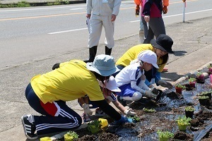 大巻小学校児童と四十日新道ひまわりの会による花植え活動の様子3