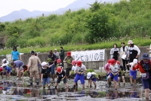 田植えをする児童たち