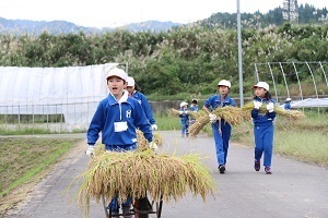 刈り取った稲を運ぶ児童たち