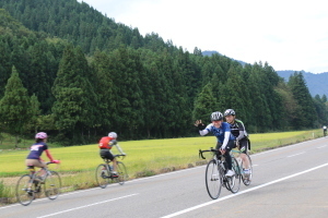 田んぼの中を自転車で走る参加者たち