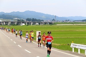 ハーフマラソンのコースを走る選手たち