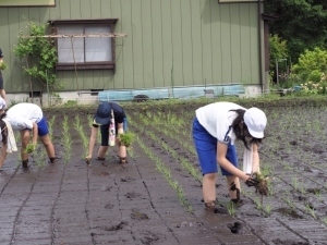 印に沿って田植えをする児童たち