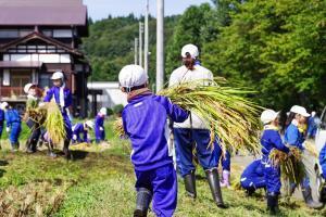 稲を運ぶ児童の後ろ姿