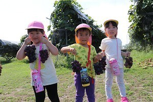 ぶどう畑でぶどうを両手に持って記念撮影する園児たち1