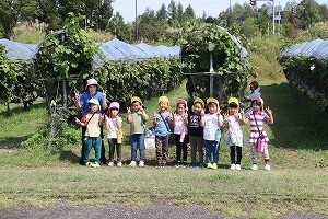 ぶどう畑のなかで記念撮影する園児たち