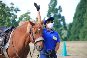 紹介されるポニー