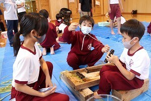 高学年の児童が低学年の児童を指導しながら苧引きをする様子