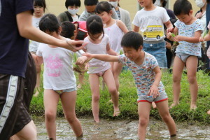 田んぼに入りはしゃぐ園児