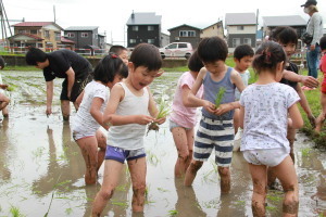 田植えをする園児たち