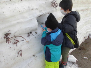 雪灯篭を点火する児童