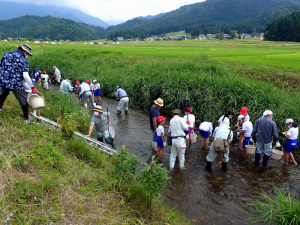 生き物調査をする児童と講師たち