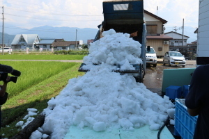 雪の搬入状況