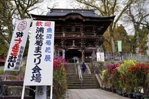 菊まつりの看板と普光寺