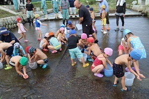 イワナの稚魚を放流する園児たち