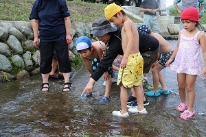 イワナを観察する園児たち