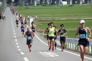 ハーフマラソンのコースを走る選手たち
