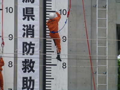 ロープ応用登はん