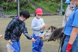 ポニーにニンジンをあげる児童たち