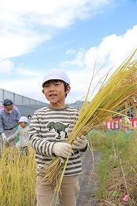 刈り取った稲をもって笑顔の園児