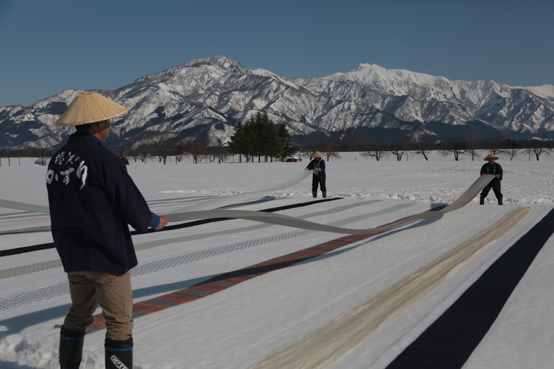 (写真)越後上布の雪ざらし