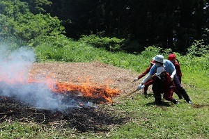 農家の人と栃窪小学校の児童が一緒にカヤに火をつける様子