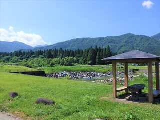 登川河川公園_滝谷橋付近.jpg