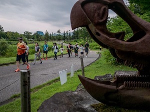 八色の森公園を歩く参加者たち