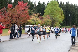 大原運動公園を走る選手たち