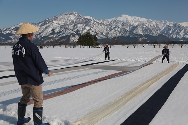 越後上布の雪ざらし